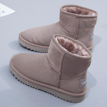 Snow boots women plus velvet thickened 2021 Winter new warm Joker womens shoes Martin short boots autumn and winter cotton shoes