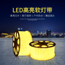 LED light with 220v5050 high brightness soft light with home living room ceiling decoration outdoor waterproof soft long line light