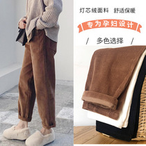 Pregnant women with small feet and long trousers in autumn and winter wear underpants loose corduroy straight pants thickened and velvet winter outfit