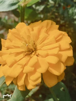 质量非常好，与卖家描述的完全一致，非常满意,真的很喜欢，完全超出期望值，发货速度非常快，包装非常仔细、严实，物流公司服务态度很好，运送速度很快，很满意的一次购物