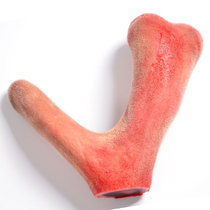 2021 Newly cut whole branches fresh antler slices Jilin sika deer velvet fresh blood bubble wine material 300g