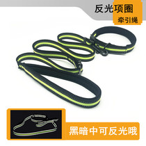 Glistening traction rope Puppy collar suit Puppy neck cover small medium canine with rope Gold Mater Teddy Koki