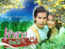 Support DVD Thailand You Are My Wife You Are My Wife Thai Chinese Characters All 17 episodes 3 discs