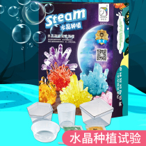 Childrens science experiment DIY planting growth Crystal test set primary school student STEAM educational toys 5 days