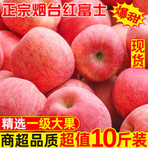 Shandong Yantai Red Fuji apple fruit fresh season season season crisp sweet 10kg Pingan fruit Qixia