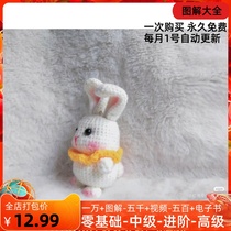 14 Little Flower Cat Figure Decontrol Little Fat Rabbit Tutu Tutorial Wool Thread Woven Doll Decorative Pendulum Hook Needle Microhook