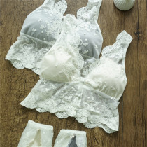 Japanese Japanese-style rework embroidery lace transparent vest style Sexy free steel ring front button bra suit womens underwear