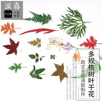 Pie Delight Crystal Drop Glue Diy Handmade Leaves Dry Flowers Maple Leaf Rose Leaf Fly Oatmeal Thyme Urns Ferns