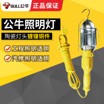 Bull Access Light 10m 5m Mobile Working Light Handheld Light E27 Threaded Interface Plug Walking Light GN-D1