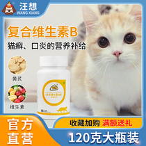 Home Anecdote Cat Kitty Special Compound Vitamin B Pink Cat Feline Mouth Inflammation period can be matched with Wangs skin selection