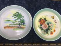 Enamel plate South China Sea scenery flower butterfly second-hand thrift nostalgic collection film and television props