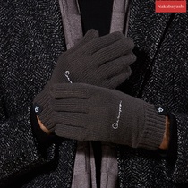 New winter knitted gloves mens outdoor travel double-layer wind warm plus velvet padded solid color touch screen gloves