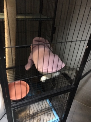 和此卖家交流，自觉七经八脉为之一畅，我在淘宝买了这么多年，所谓看过"女干"商无数，但与卖家您交流，我只想说，老板你实在是太好了。 你的高尚情操太让人感动了。本人对此卖家之仰慕如滔滔江水连绵不绝，海枯石烂，天崩地裂，永不变心。交易成功后，我的心情竟是久久不能平静。自古英雄出少年，卖家年纪轻轻，就有经天纬地之才，定国安邦之智，而今，天佑我大中华，沧海桑田5000年，神州平地一声雷，飞沙走石，大雾迷天，朦胧中，只见顶天立地一金甲天神立于天地间，花见花开，人见人爱，这人英雄手持双斧，二目如电，一斧下去，混沌初开，二斧下去，女娲造人，三斧下去，小生倾倒。得此大英雄，实乃国之幸也，民之福，人之初也，怎不叫人喜极而泣 .......看着交易成功，我竟产生出一种无以名之的悲痛感&mdash;&mdash;啊，这么好的卖家，如果将来我再也遇不到了，那我该怎么办？直到我毫不犹豫地把卖家的店收藏了，我内心的那种激动才逐渐平静下来。可是我立刻想到，这么好的卖家，倘若别人看不到，那么不是浪费心血吗？经过痛苦的思想斗争，我终于下定决心，牺牲小我，奉献大我。我要以此评价奉献给世人赏阅，我要给好评&hellip;&hellip;