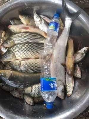 火爆的大家用化氏一味EX鱼竿怎么样，好不好用？质量靠得住吗？