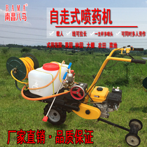 Eight horses medicine machine self-propelled gasoline spraying vehicle high-pressure agricultural orchard artifact