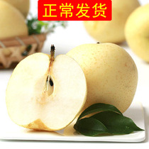 (Chang Fa) Yali fruit fresh snow pear 5kg rock sugar pear fragrant pear Crown Sydney Hebei Zhao County