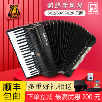 Parrot brand accordion musical instrument examination performance Beginner adult professional 60 96 120 bass three or four rows of springs
