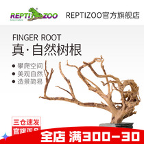 Reptizoo rearing cylinder mascara tree shelter reptiles View Climbing with natural tree root fish tank Scape Rhododendron Root Pendulum