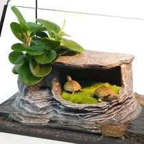 Turtle tank deep water turtle drying platform climbing platform sun back table stone villa to avoid hole Turtle House Sun turtle table climbing platform natural