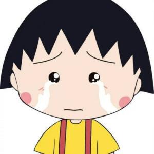 。。。。。。。。