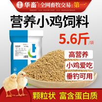 Chinese animal chicks chicks chicks chickens duck and goose feed fishing bait full price