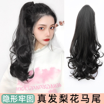 Wig Female long hair Long curly ponytail Real hair Pear flower ponytail strap type long curly pear flower curly ponytail wig braid