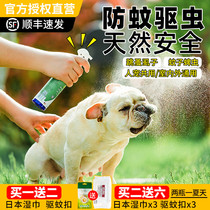 American Innoitself anthelmintic spray in vitro large medium and small cats and dogs pet flea ticks mosquito insect repellent 240ml