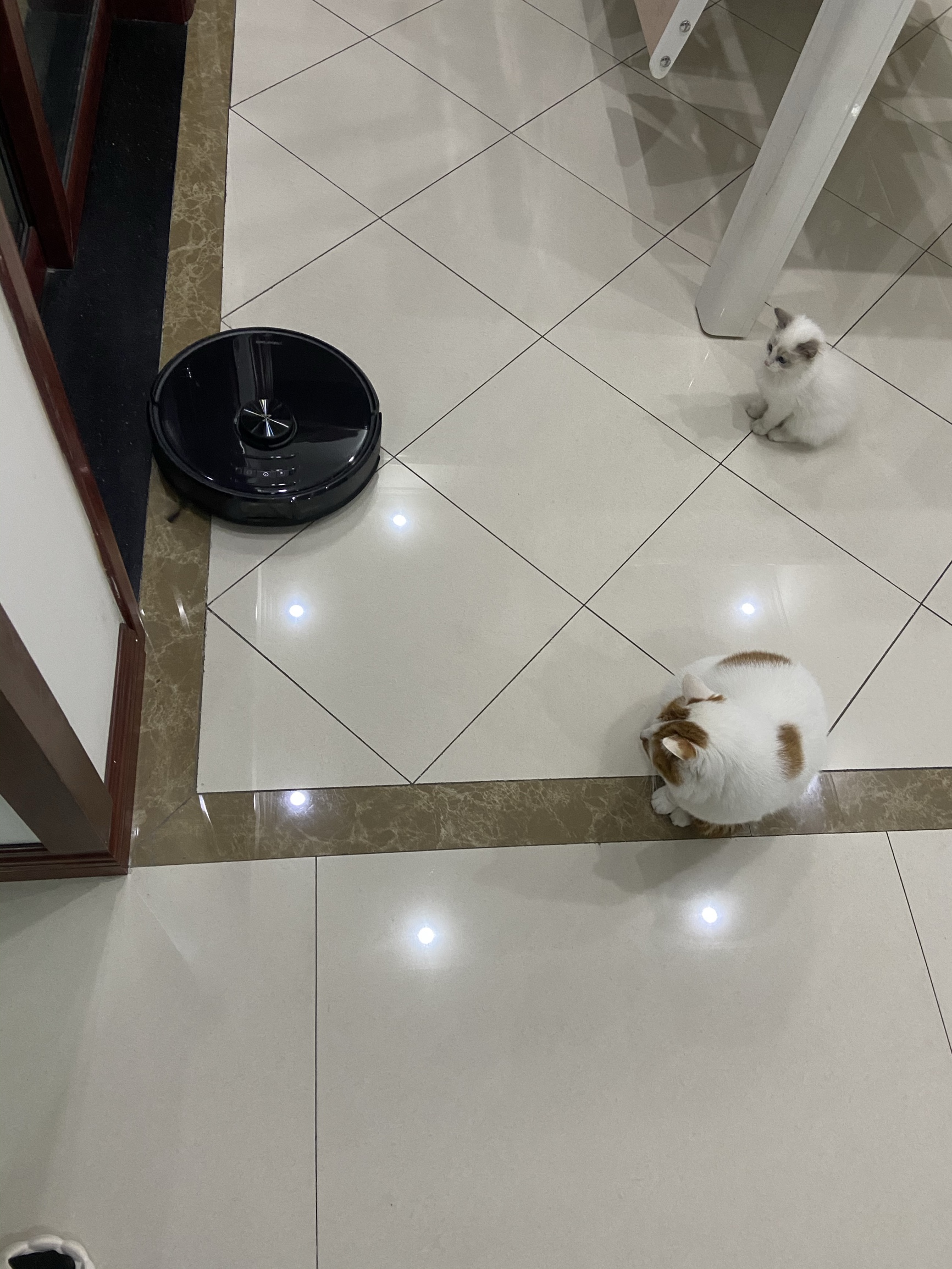 质量揭密石头T7 Pro评价真的好吗?真相吐槽解密