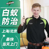 Beijing Shanghai indoor control of termite powder infection prevention before home decoration booby trap professional door-to-door termite control