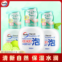 Imported Welsh foam antibacterial hand sanitizer sterilization and disinfection hand sanitizer household bottled moisturizing moisturizing 350ml