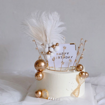 Baking Crown Cake Decoration Mesh Red Full Star Pentagram Crown Swing Piece White Pearl Ostrich Feather Plugin