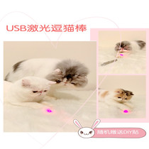 Cat laser stick infrared cat pen Cat Toy usb charging automatic cat fighting artifact flashlight multifunctional cat
