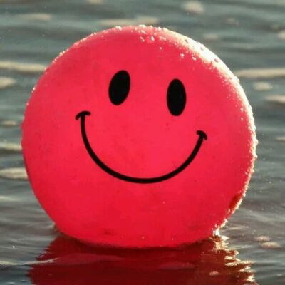 此用户没有填写评价。