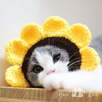 Cute young cat sunflower sun flower hat headgear collar neck ring handmade wool knitting photo cute