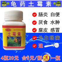 Oxytetracycline turtle uses special panacea for bactericidal white eye disease