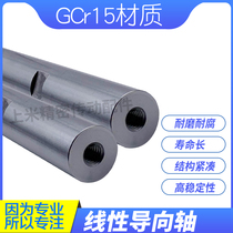 g6 guide shaft both ends of the internal thread with wrench groove SFJZ12-100-M6-N6-SC10 Hard chrome plated PSFJZ12