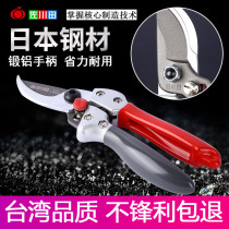 Taiwan Sagawada 817C garden tools pruning scissors Fruit tree branch scissors Japan Steel SK5 gardening branch scissors