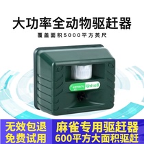 Large area 600 square Sparrow repeller warehouse factory
