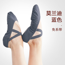 Blue Dancing Shoes Exempt with female cat Grip Bodies Dancing Shoes Soft-bottom Exercises Shoes With FEET BACK BALLET SHOES ADULTS