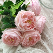 Simulation flower garden rose feel rose realistic home bottle insert model room decoration Champagne white