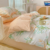 Small fresh ins wind pure cotton bed four-piece set 100 cotton net red bedding summer quilt cover bed sheet three-piece set female