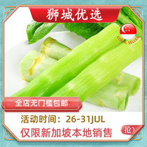 (Vegetable)Lettuce 600-700g Local delivery in Singapore