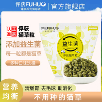 Capture cat grass slices ready-to-eat dolls pellet pellet pellets lazy to kitten cat snack products