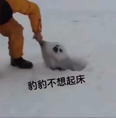 哎,还没评图片被我删了???还可以吧,得配米饭吃,不然对我来说太辣,第二盒就只倒了一半辣包。 哎,还没评图片被我删了???还可以吧,得配米饭吃,不然对我来说太辣,第二盒就只倒了一半辣包。