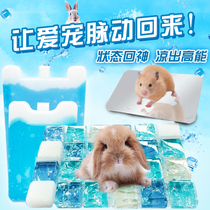 Pet cooling board Rabbit Totoro hamster cooling board summer heat dissipation aluminum alloy ice bed ice mat summer heat supplies