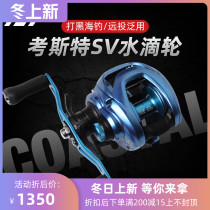 DAIWA Dawa 20 new US version of coaster SV Super sea spider fishing ship Black Sea fishing Road Asian water drop wheel