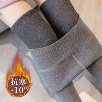 Japan beat bottom pants female big code display slim high waist vertical tattoo pantyhose garnter thickened and warm even socks thread long pants autumn winter