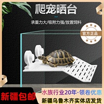 Large number of turtle sunbeds Climbing Terrace Climbing large fish tank Sun Back Terrace High Water Level Deep Water Turtle Climbing Floating Island Terrace