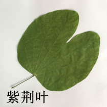 Bauhinia leaf childrens hand-made specimens kindergarten diy flower painting real flower greeting card embossing painting natural leaves