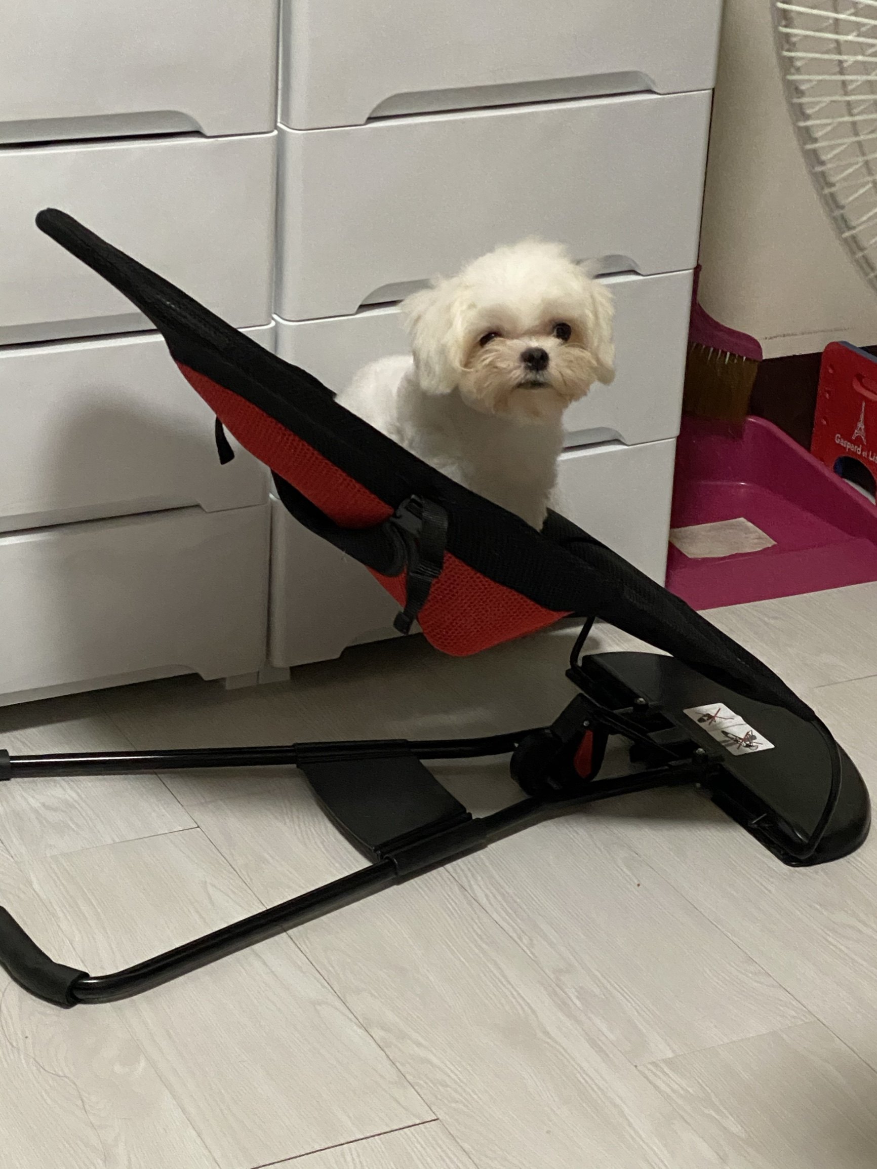 收到才知道这根本是小婴儿的摇床,不过我家的狗狗也很爱躺.